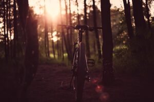 Bicicleta Bosque Collserola